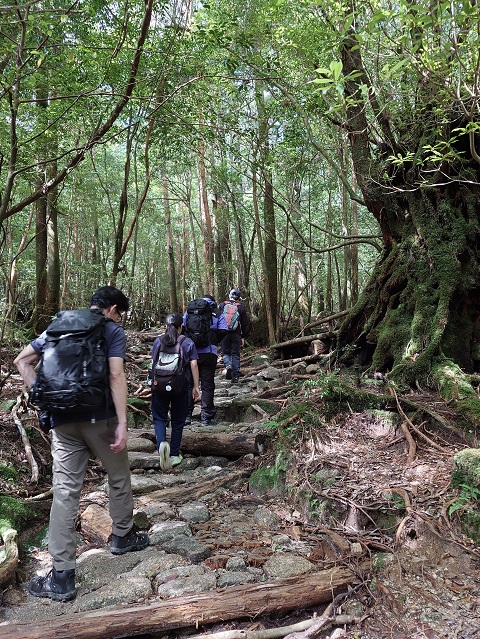 登山１