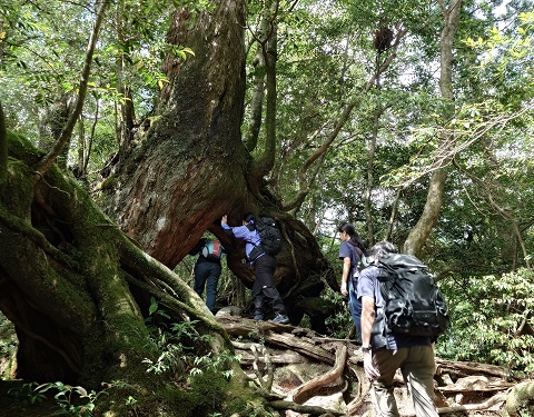 登山２