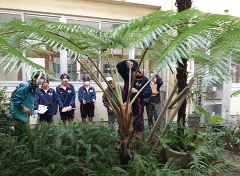 植物講話その２