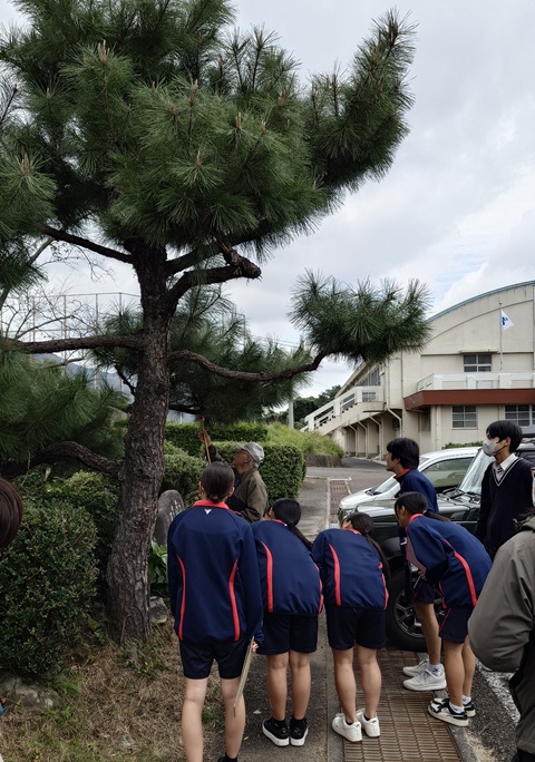 植物講話その３