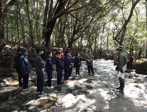 滝之川の一枚岩 滝之川の一枚岩