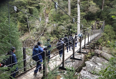 ヤクスギランド4 ヤクスギランド4